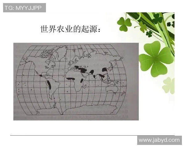 竞技体育的定义与发展探析：从历史渊源到现代竞技竞技精神的演变